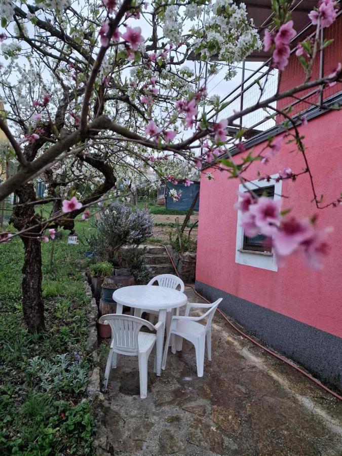 Apartment Sandro