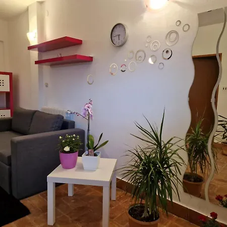 Apartman Sandro Motovun Exterior photo