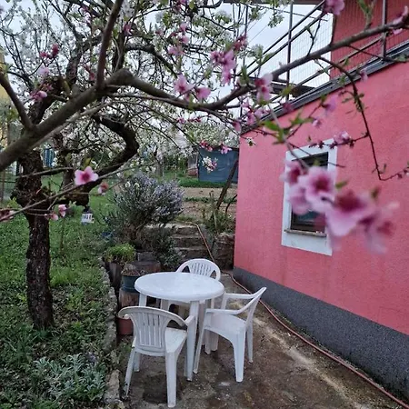 Apartman Sandro Motovun Exterior photo