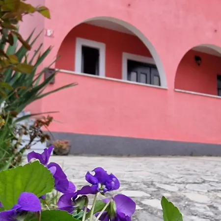 Apartman Sandro Motovun Exterior photo